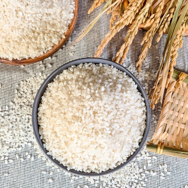 2025년산 햅쌀 양구 오대쌀 10kg 강원 백미 당일도정